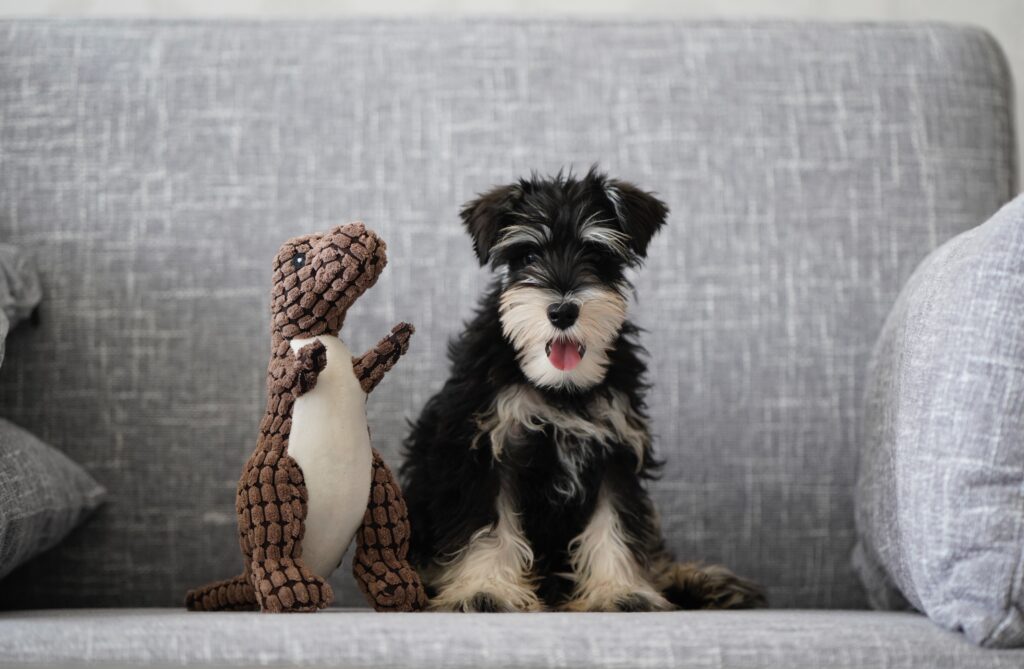 子犬と恐竜のぬいぐるみ